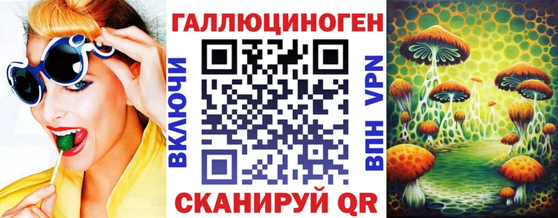 Псилоцибиновые грибы Psilocybine cubensis  Купить где  Карачев 